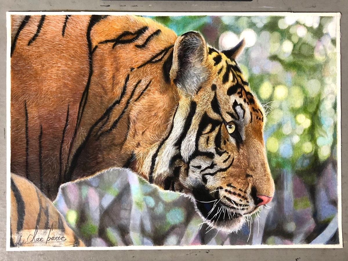イラスト