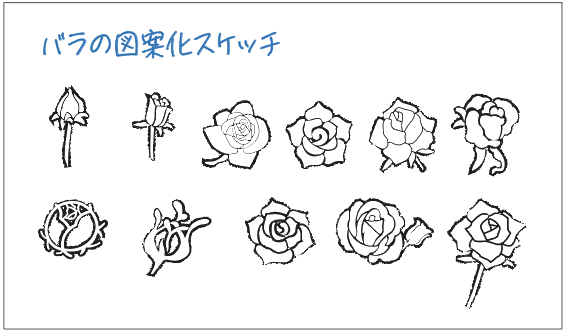 田中くんが描いたバラの図案化スケッチ